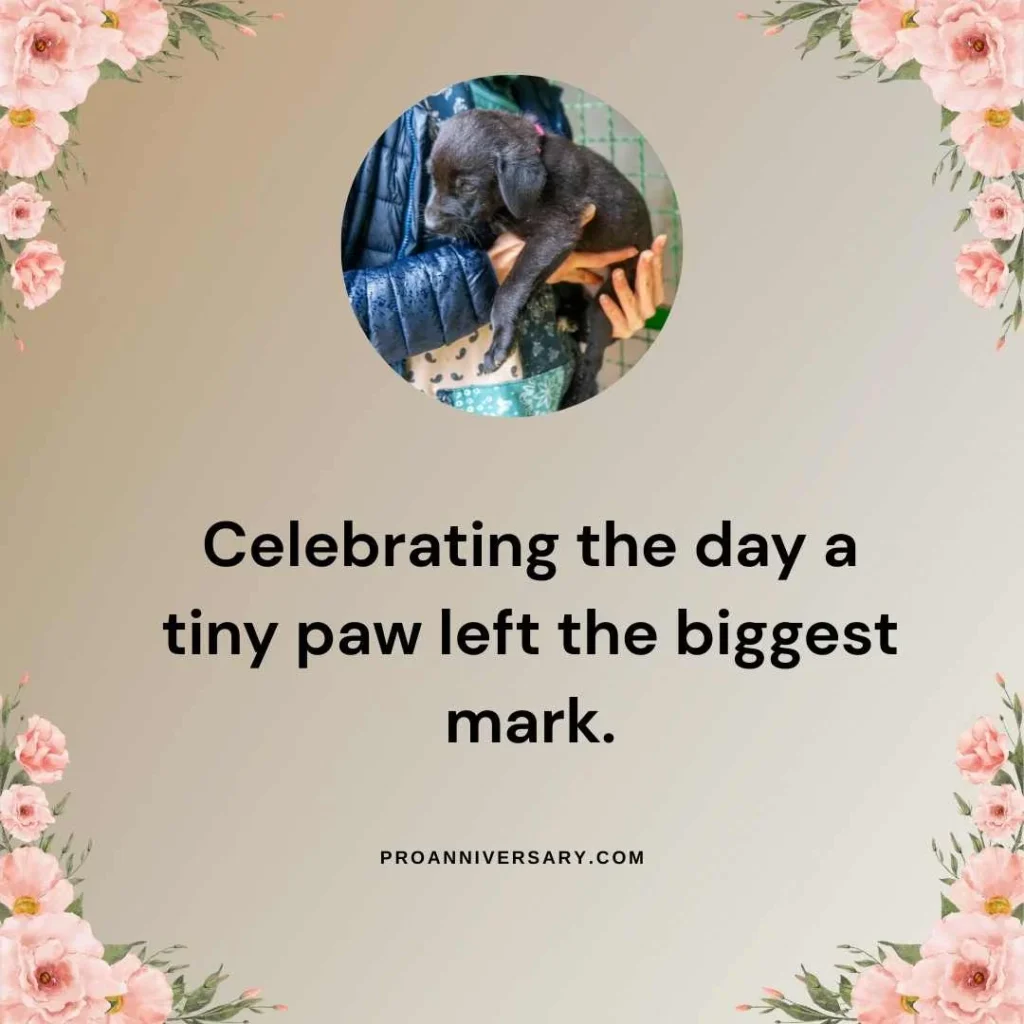 Heartfelt Dog Adoption Anniversary
