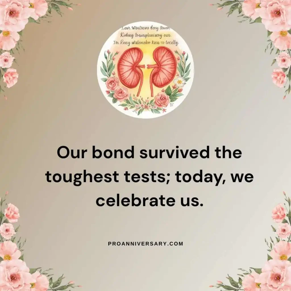Romantic Kidney Transplant Anniversary  
